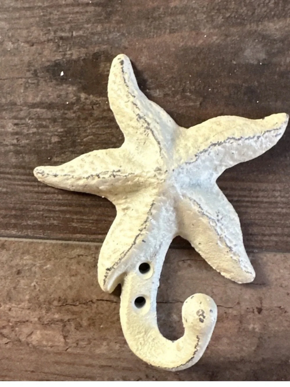Starfish Cast Iron Wall Hooks  Antique White Set of 2
